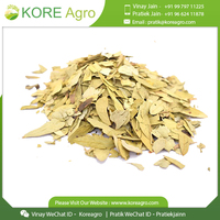Penjualan Terbaik daun Senna ekstrak Herbal Produsen pemasok suplemen dari India