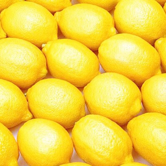 Лимон verna. Толстошкурый лимон. Lemon verna. Лимон на белом фоне. Сорт лимона lemon юар.