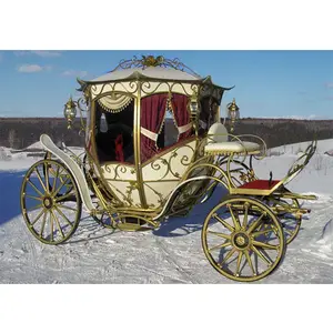 Kraliyet prenses düğün kabak at arabası güzel düğün kabak atı çizilmiş taşıma masal düğün külkedisi arabası