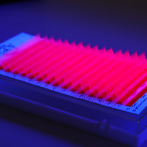 กล่องบรรจุภัณฑ์ต่อขนตาเรืองแสงในที่มืด,PBT เกาหลีใช้ต่อขนตาไฟ Led นีออน UV ถาดสำหรับต่อขนตา - Product Image 1