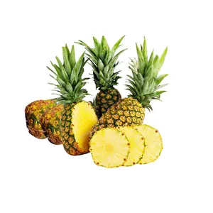 菠萝水果可能是从孟加拉国出口的生菠萝水果/Ananas comosus或多汁新鲜菠萝