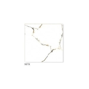 Baldosas de porcelana de fábrica india de cerámica 600x600mm - Product Image 6