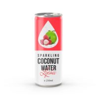Frisse Sprankelende 250ml Kokoswater Watermeloen Lekkere Fruit Smaak Koel Koolzuurhoudende Aluminiumblikje Drankje Pure Plantaardige Sap