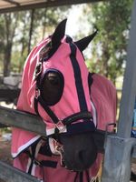 Ensemble de couverture et de capuche de luxe pour cheval d'été 2022, couvertures pour cheval d'été 2022, meilleure qualité, couleur rose