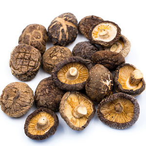 Shishiake naturel écologique, champignon secs, du Vietnam, HH + 84977157110 - Product Image 1