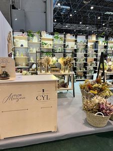 Qualità italiana personalizzabile in legno massello Reception e Front Desk tavolo con Design rustico per uso ufficio Hotel salone - Product Image 5