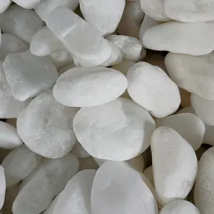 Free Sizes Wholesale Nature Unpolished Limestone Supplying