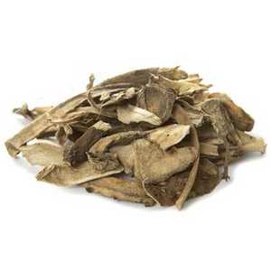 Aceite Esencial de Spikenard 100% Puro y Natural, Destilado al Vapor con Árbol de Té, Certificado GMP, AARNAV GLOBAL EXPORTS, Precio Competitivo - Product Image 2