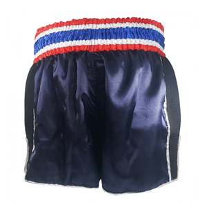 AASI Muay Thai Fight <b>Shorts</b> Clothing Training Fighting <b>Grappling</b> Martial Arts Kickboxing <b>Shorts</b> Clothing - Product Image 3