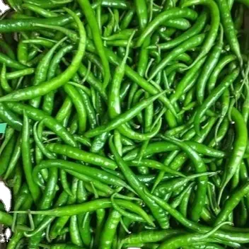 Vegetables Exporter Indian Green Chilli Customised Packing Green Color Organic Color Organic Green Chilli Best Quality