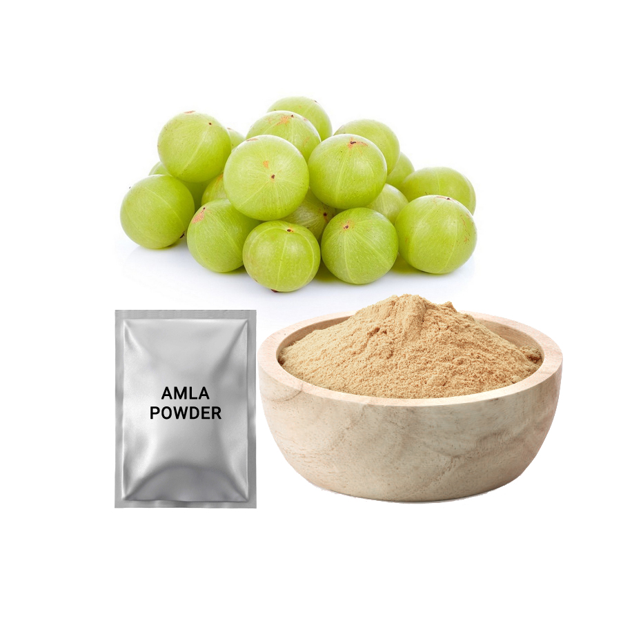 Fabricant frais Amla poudre de Fruit extrait pour cheveux oseberry indien sans effet secondaire croissance des cheveux OEM soins capillaires biologiques