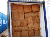 Fibres de coco extraites de coques de noix de coco pour cordes, brosses et produits de rembourrage