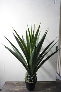 Precio de fábrica Planta de <span class=keywords><strong>agave</strong></span> artificial ornamental Decoración de arte minimalista de plástico para oficina u hotel para diseño de interiores - Product Image 4