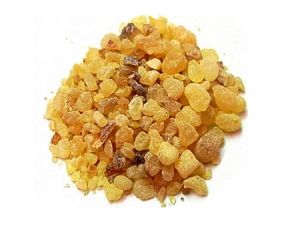 Huile Essentielle 100% Naturelle et Biologique de Ferula Galbaniflua Pure, Aromathérapie, Galbanum Distillé à la Vapeur, Arbre à Thé pour Marque Blanche - Product Image 2