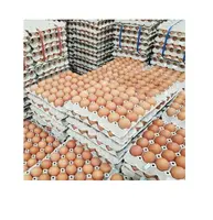 Frische braune weiße Tafel eier/frische Hühnereier