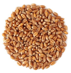 Grain de blé de meilleure qualité-différents types-hiver rouge dur-dur-dur-blanc doux-sec - Product Image 1