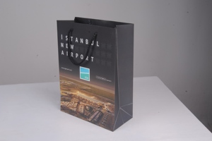 Sac de shopping en papier Bristol noir américain, imprimé offset, poignée en corde de qualité supérieure, recyclable, emballage personnalisé, taille industrielle - Product Image 2