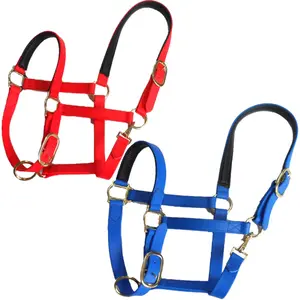 Nylon Webbing Adjustable Adjustable Zinc Alloy Clip Padded Horse Halter Equestrian Padded colorful horse rope halter