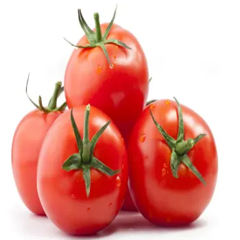 신선한 토마토 2022 새로운 계절 맛있는 고품질 붉은 토마토 터키-최고 품질 최고의 가격
