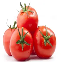 Taze 2022 yeni sezon lezzetli yüksek kaliteli kırmızı domates türkiye-en kaliteli en iyi fiyat