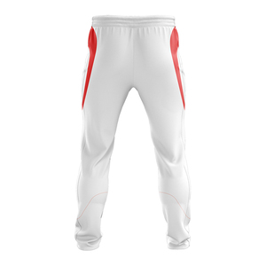 High Quality Collar <b>Cricket</b> Jersey and Trouser Uniforms Branded Quality Wholesale Trouserd - Product Image 6