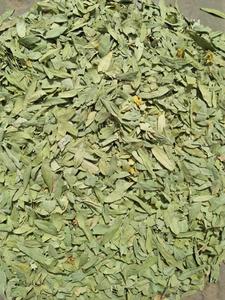 Capsules et feuilles de senna de haute qualité, vente en gros - Product Image 3