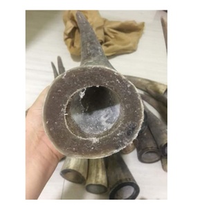 Punta de cuerno de búhos de yak blanco a granel, bocina de vaca para artículos de artesanía y mango de espada, uso para muestra gratis - Product Image 5