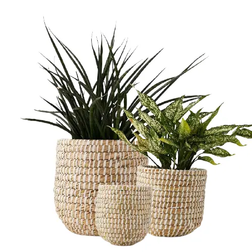 New Eco Friendly Seagrass With Recycled Plastic String Planter Cover Pot For Indoor Plants