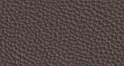 สีน้ำตาล8817