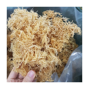 Musgo Irlandés de Alta Calidad / Musgo Marino Blanco / Kappaphycus Alvarezii para Alimentos Veganos Orgánicos de Vietnam - Product Image 1