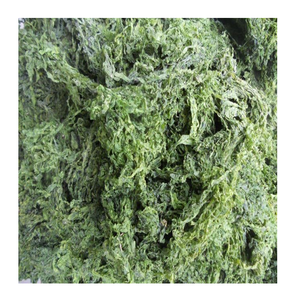 สาหร่ายเขียวแห้งสำหรับอาหารสัตว์/ปศุสัตว์ - ช่วยย่อยอาหารสำหรับสัตว์ จากเวียดนาม 99 โกลด์ ดาต้า - Product Image 1