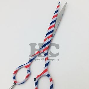 Vente en gros Ciseaux de coiffeur japonais en acier inoxydable Nouveau design Ciseaux pour coiffeur à pointe pointue pour salon de coiffure - Product Image 2