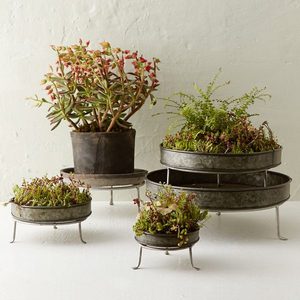 Planteur doré en laiton avec support noir, décoration de jardin - Product Image 6