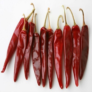 Teja-S-17 de chili rojo, sin tallo - Product Image 5