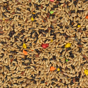 อาหารนกคีรีบูนป่า 100% ธรรมชาติ 400 กรัม - Product Image 2