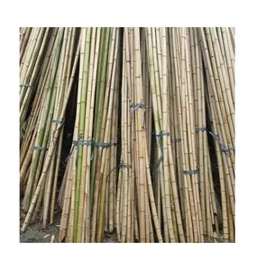 Eco-Friendly Vietnam Bamboo Raw Materials Bamboo Cane Bamboo Pole For Plant 99GD
