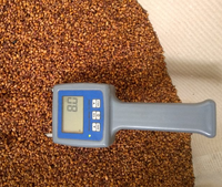 Graines de raisin biologique de mars 8% frais et humides