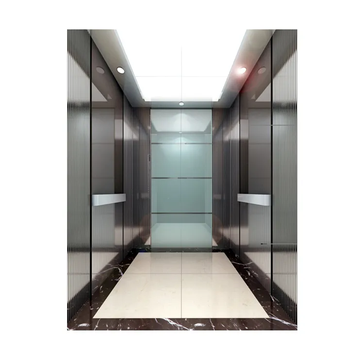 630kgの乗客用エレベーターリフト用の魅力的なデザインのカプセルエレベータードアとキャビンフロアPVC
