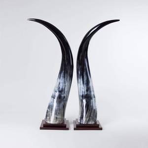 Corne de vache de haute qualité, centre de table décoratif d'intérieur, taille personnalisée et support en bois avec vente - Product Image 5