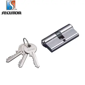 Security Perfil Cilindro con S Llave European Profile Lock Cylinder con llave maestra