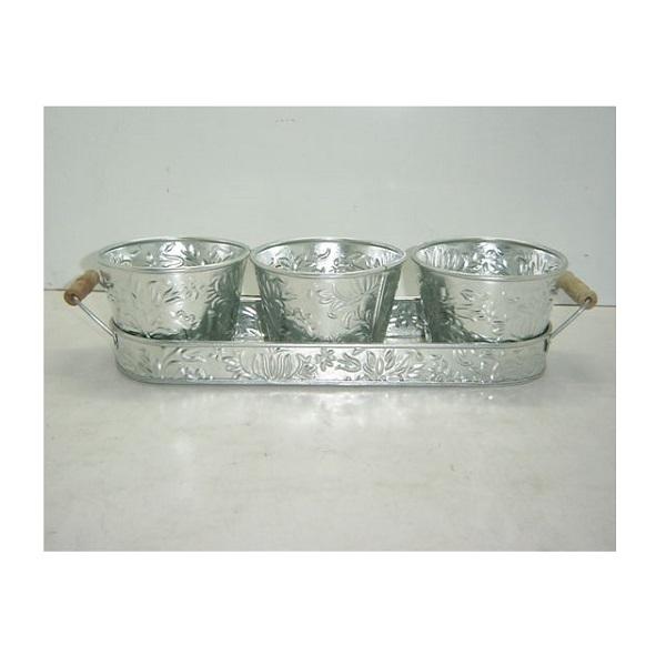 การแสดงภาพ