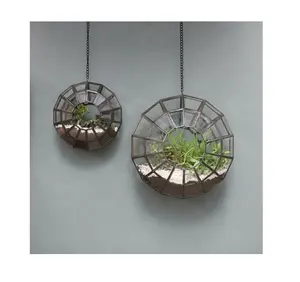 圆形壁挂装饰室内植物玻璃容器制造商批发商