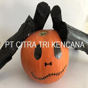 Emballage de charbon de bois dur pour BARBECUE, pour BBQ GRILL, papier KRAFT, OUJDA, ANGAD, maroc, afrique du nord - Product Image 5