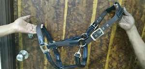 เชือกแขวนคอม้ากายวิภาคและผลิตภัณฑ์เครื่องหนังพรีเมี่ยม - Product Image 2