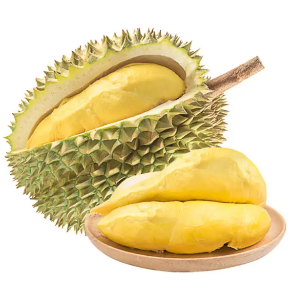 RI6 Durian vietnam'da yapılan çok taze Premium kalite taze bütün parça/dondurulmuş hamuru Durian meyve Monthong