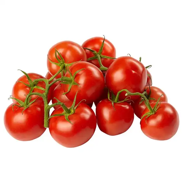 Fresh Beef Tomato, Cherry Tomato, Fresh Plum Tomatoes for Sale.