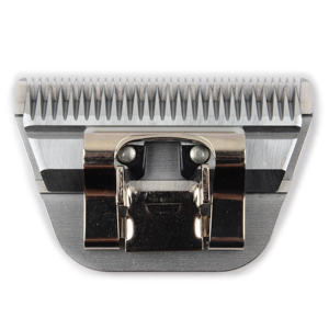 Graveuse de toilettage cheval, taille, dents larges, lame sauvage - Product Image 2