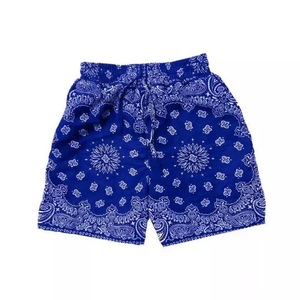 High Quality Mesh Gym Shorts Breathable Quick Dry <b>Light</b> Wight Custom Design & Sublimation <b>Cheap</b> Wholesale Stylish Shorts - Product Image 5