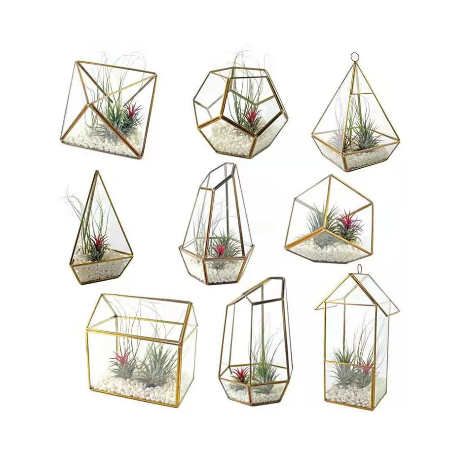 Geometrisch Ontwerp Bloem Terrarium Rose Goud En Zwarte Kleur Door Voor Home Exim Home Decor Glas Bruiloft