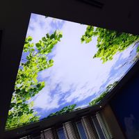 Plafond tendu décoratif pour hôtel, film suspendu 3D, impression UV, film de plafond extensible en PVC de haute qualité